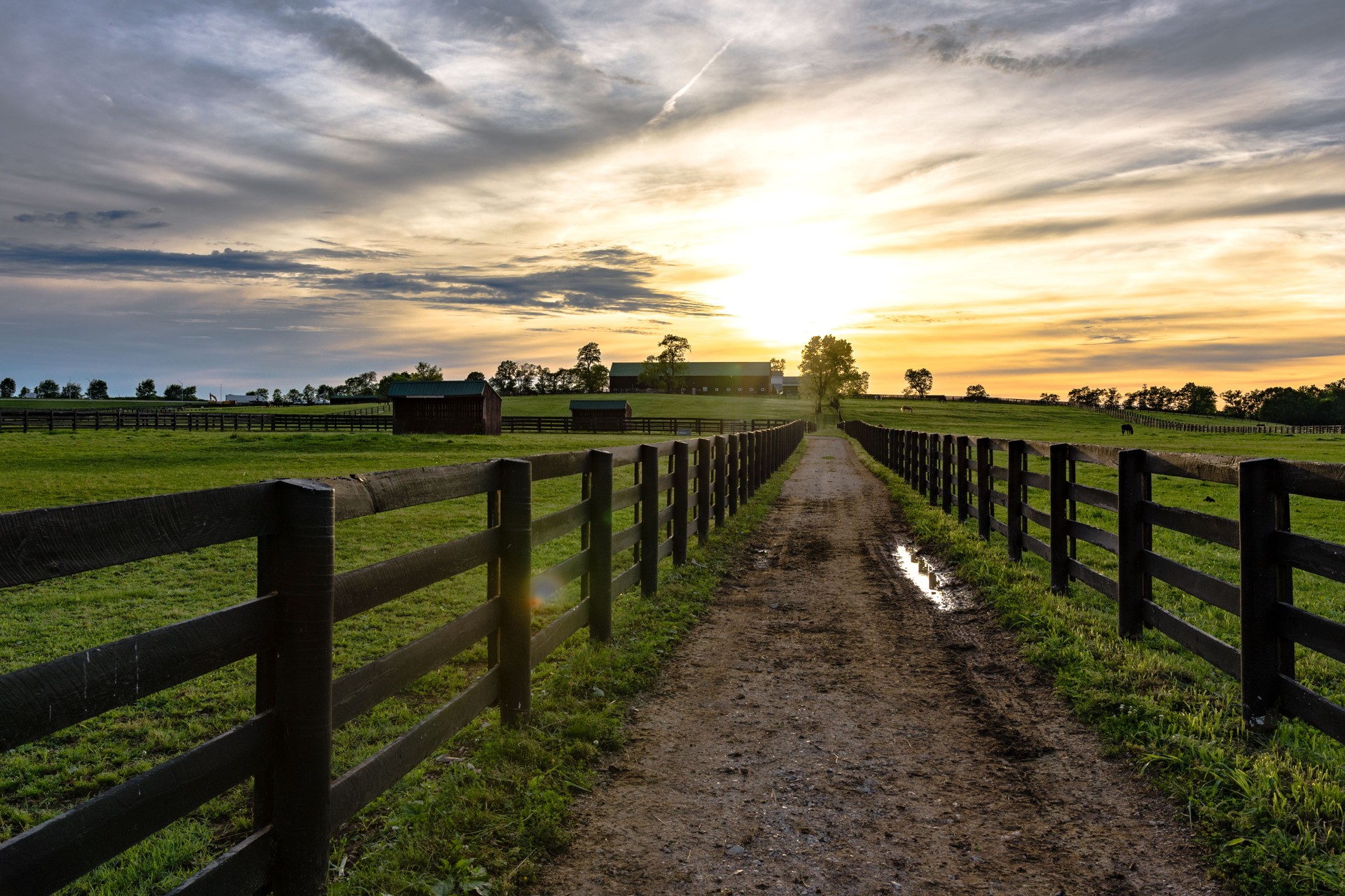 Country lane between pastures leading to a barn Country lane between pastures leading to a barn